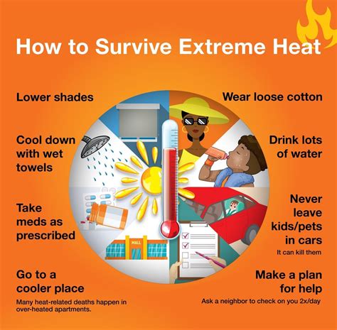 How to survive excessive heat: 5 scientific findings 